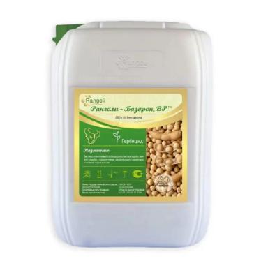 Ранголи-Базорон, ВР