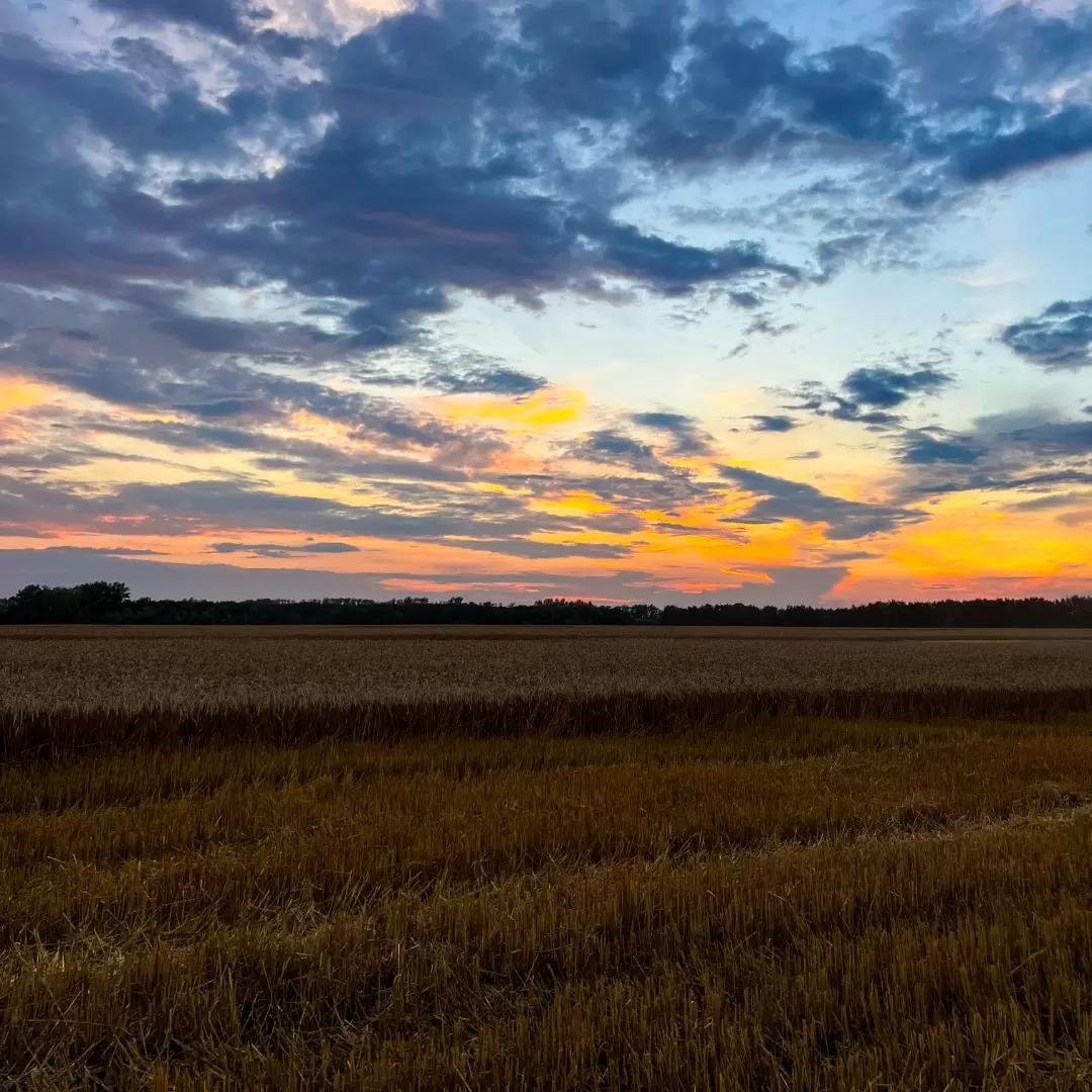 РАЗБОР СЛОЖНОЙ СИТУАЦИИ: Внесение удобрений при глубокорыхлении
