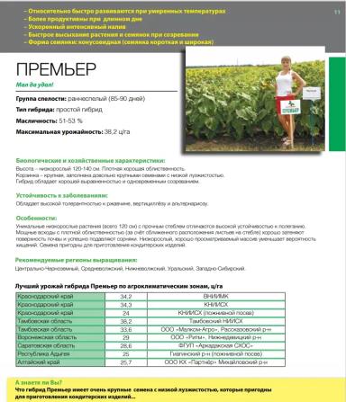 Премьер  гибрид подсолнечника