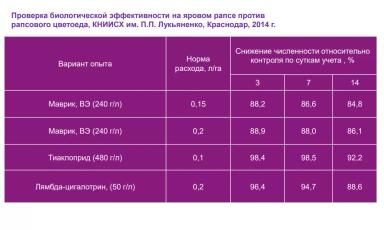 Эффективное решение в контроле рапсового цветоеда