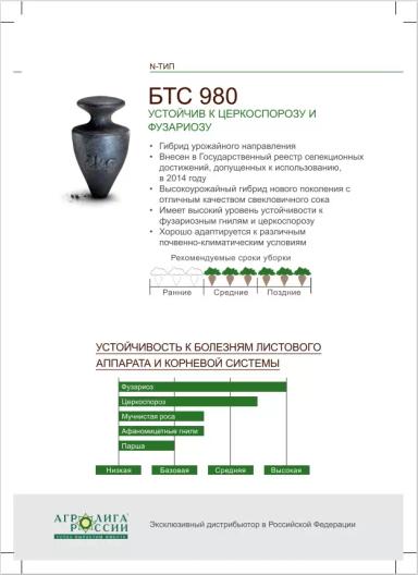 БТС 980 (BTS 980) гибрид сахарной свеклы