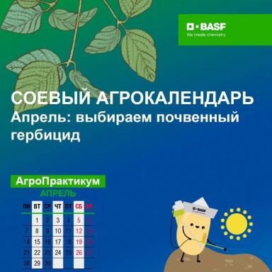 🌱 Продолжаем заботиться о будущем урожае сои.