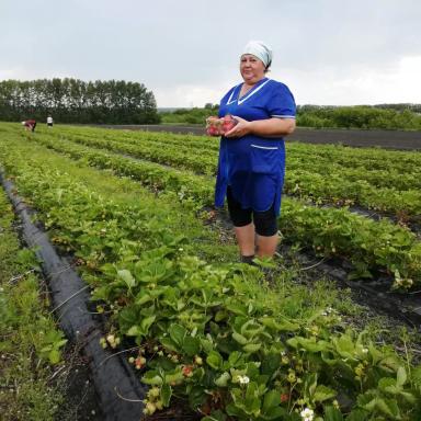Партнеры об «Августе»