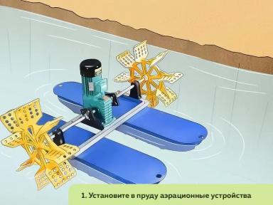 Как организовать ферму по разведению пресноводных раков. Часть 2
