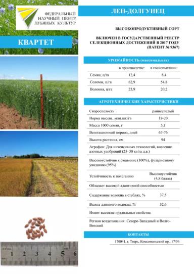 Квартет