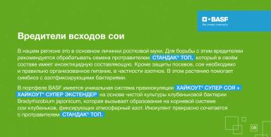 Европейская часть России — новый центр производства сои