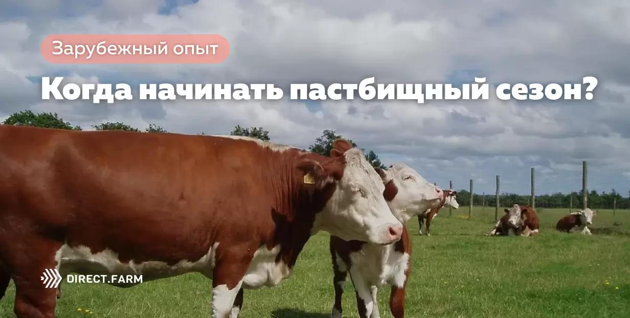 Когда начинать пастбищный сезон?