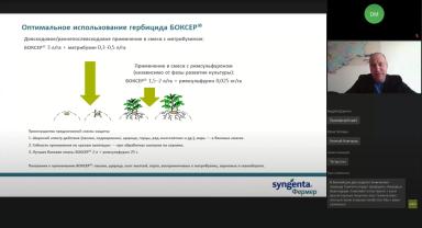 Гербициды на картофеле
