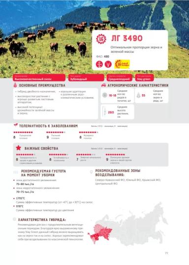 ЛГ 3490 (LG 3490) гибрид подсолнечника Лимагрейн