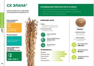 СК Элана сорт сои