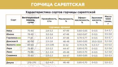 Горлинка ® - сорт сарептской горчицы  (Brassica juncea (L.) Czern.).