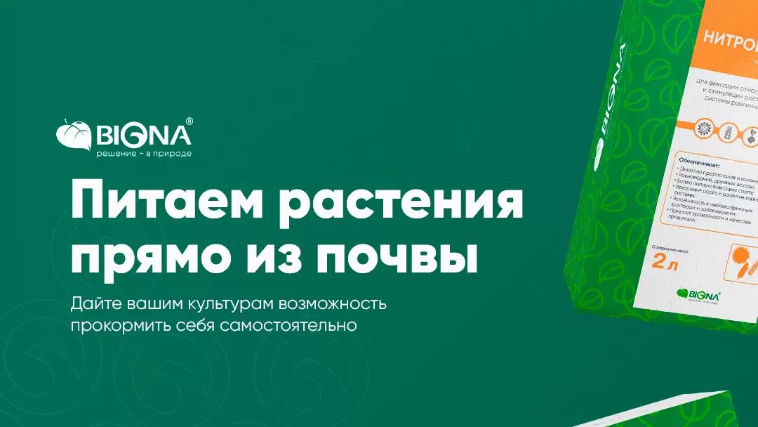 Лайфхак, как заставить растение питаться самостоятельно!