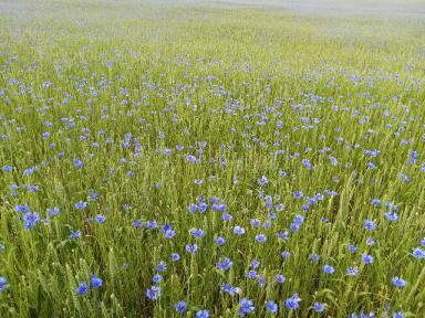 "Как создать красоту"