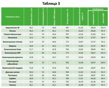 Качество определяет успех: стратегии производства твёрдой пшеницы сегодня