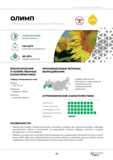 Олимп гибрид подсолнечника