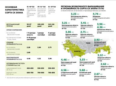 СК Элана сорт сои