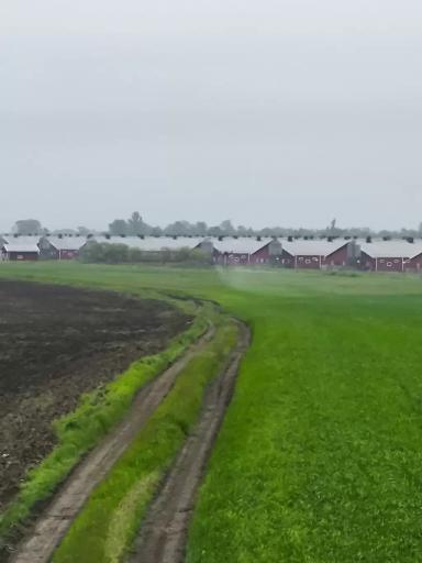 Гербицидная обработка с помощью агродрона