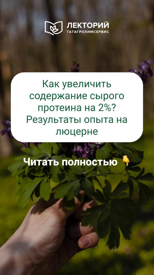 Мы провели опыт на полях АПК в Мамадышском районе РТ, чтобы проверить, как