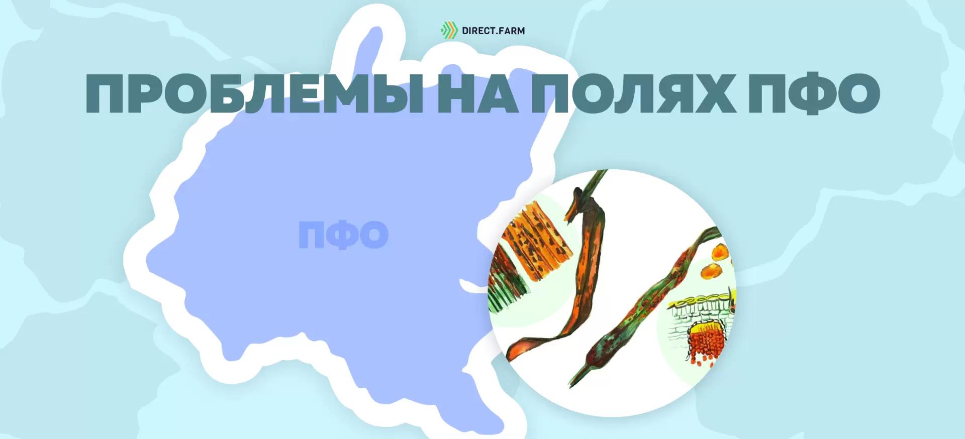 Угроза: Бурая листовая ржавчина