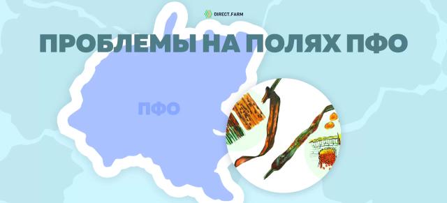 Угроза: Бурая листовая ржавчина