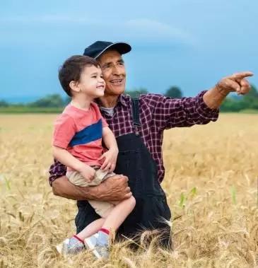 До какого возраста можно работать в сельском хозяйстве?