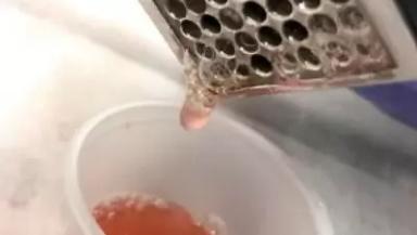 Прогнозирование горькой ямчатости