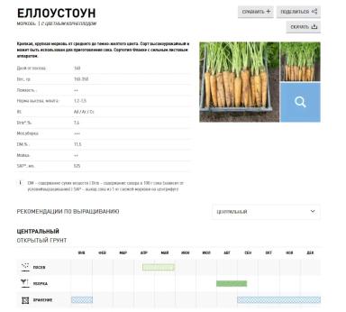 Еллоустоун (желтая)