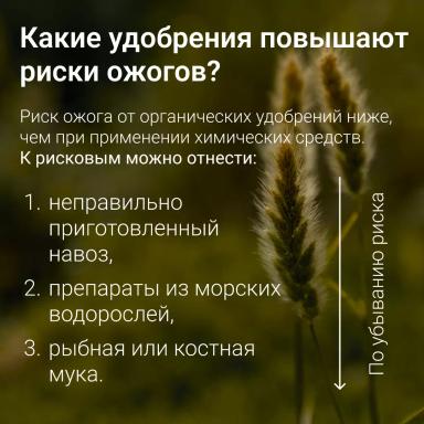 🔥 Топ-ошибок при внесении удобрений: как не навредить урожаю