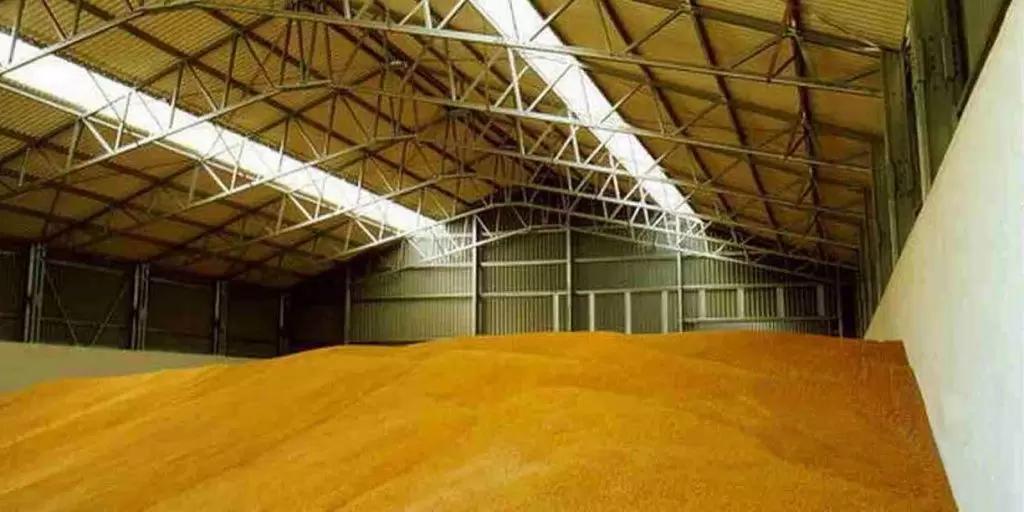 Минсельхоз может снизить минимальные цены для зерновых интервенций в 2023-24 гг.