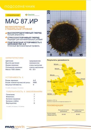 МАС 87. ИР подсолнечник