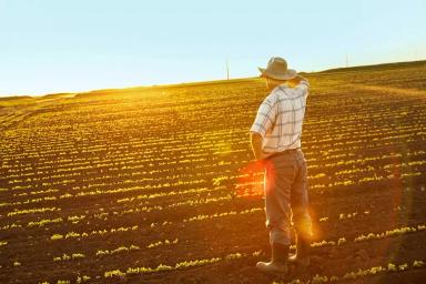 Обзор новостей за 15 апреля