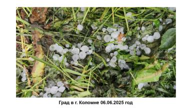 Защита растений от возвратных заморозков, засухи и других стрессов