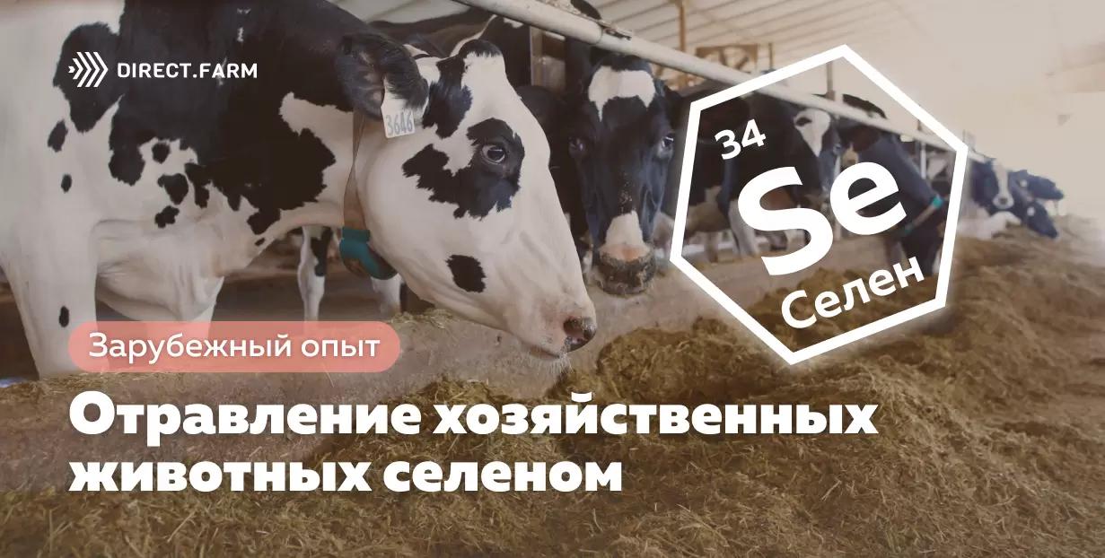 Отравление хозяйственных животных селеном (селеноз)
