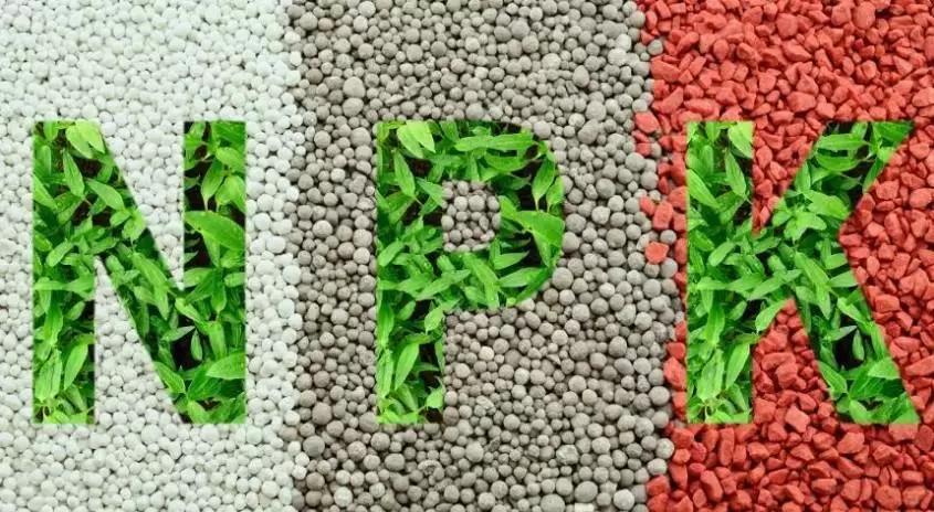 Внесение удобрений осенью