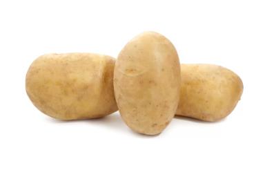 Венди ® - сорт картофеля (Solanum tuberosum L.).