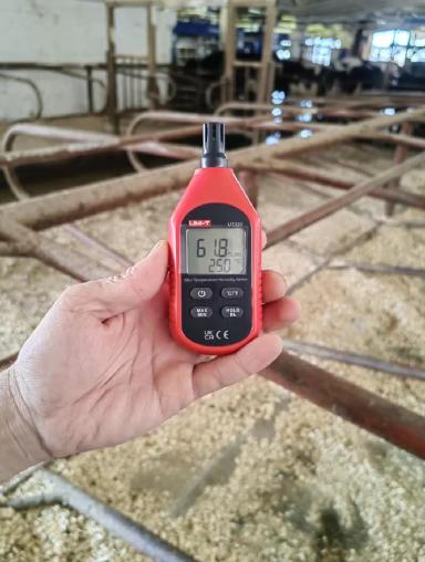 Как тепловой стресс связан с хромотой