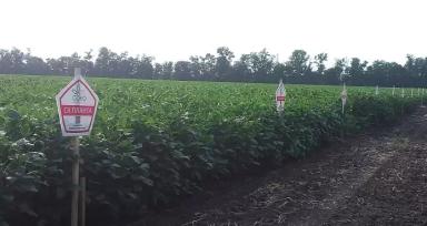 КОГДА ВРЕДИТЕЛИ ПОД КОНТРОЛЕМ