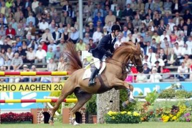 Французская верховая порода (французский сель)