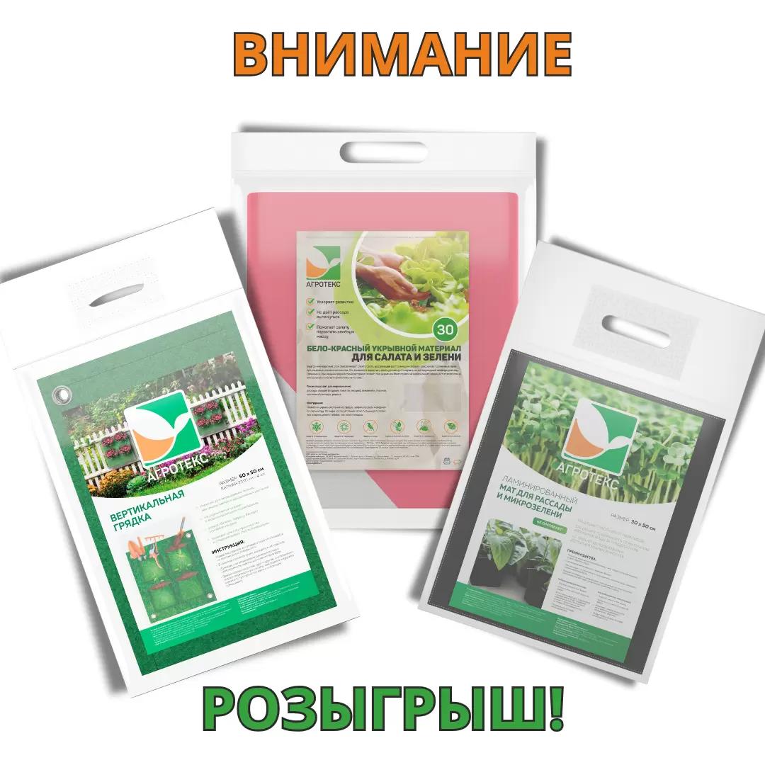 Розыгрыш