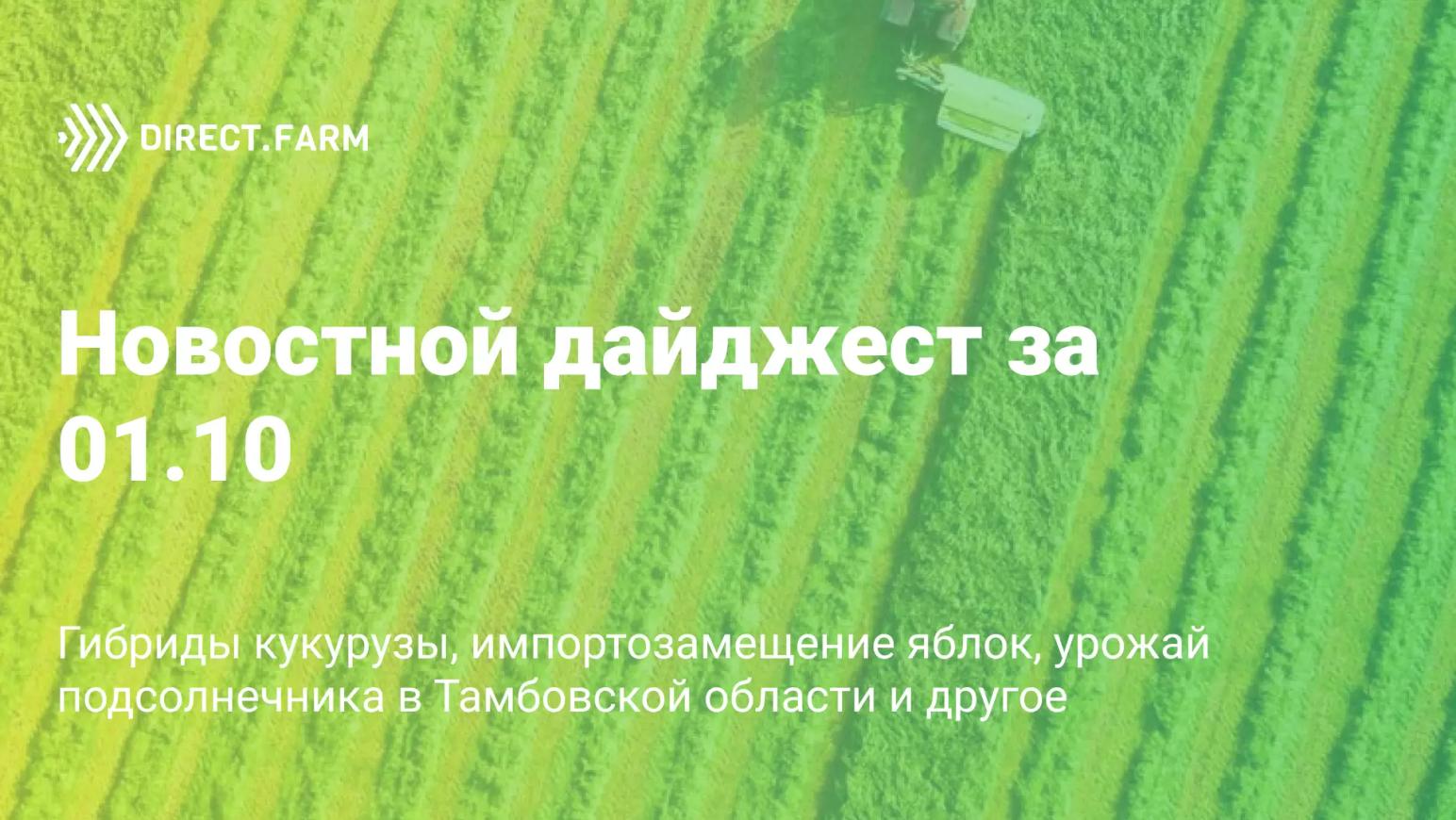 Новостной дайджест за 01.10