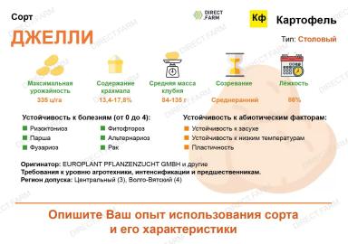 Джелли картофель