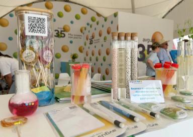 День Донского поля