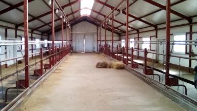 СТРОИТЕЛЬСТВО типового коровника на 50 голов привязного содержания.