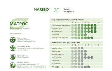 Матрос - гибрид свеклы сахарной