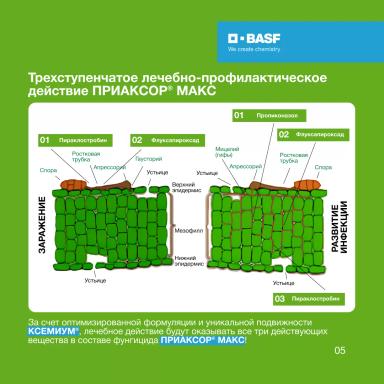 ПРИАКСОР® МАКС – уверенность в результате!