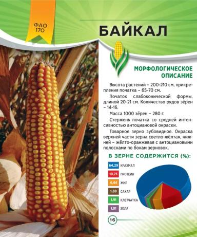 Байкал