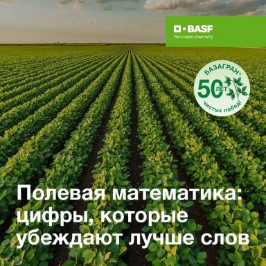 Полевая математика