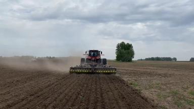 Как избавиться от трудноискоренимых сорняков на парах
