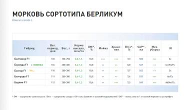 Берлин F1 (BERLIN)