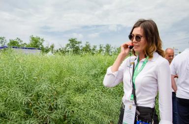 День Поля – сорта и технологии возделывания озимого рапса ВНИИМК 2022